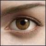 Liliya Balashova Profile Picture