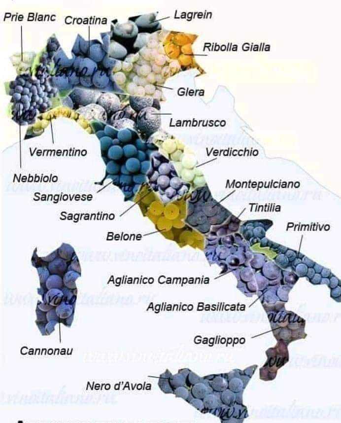 Карта вин Италии